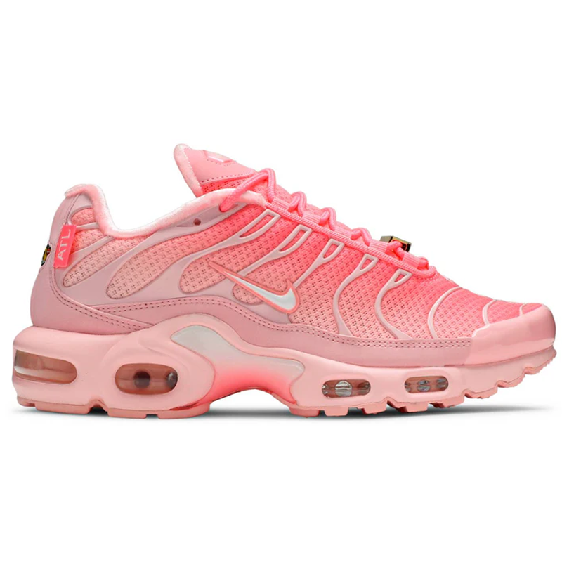 Nike Air Max Plus City Special ATL